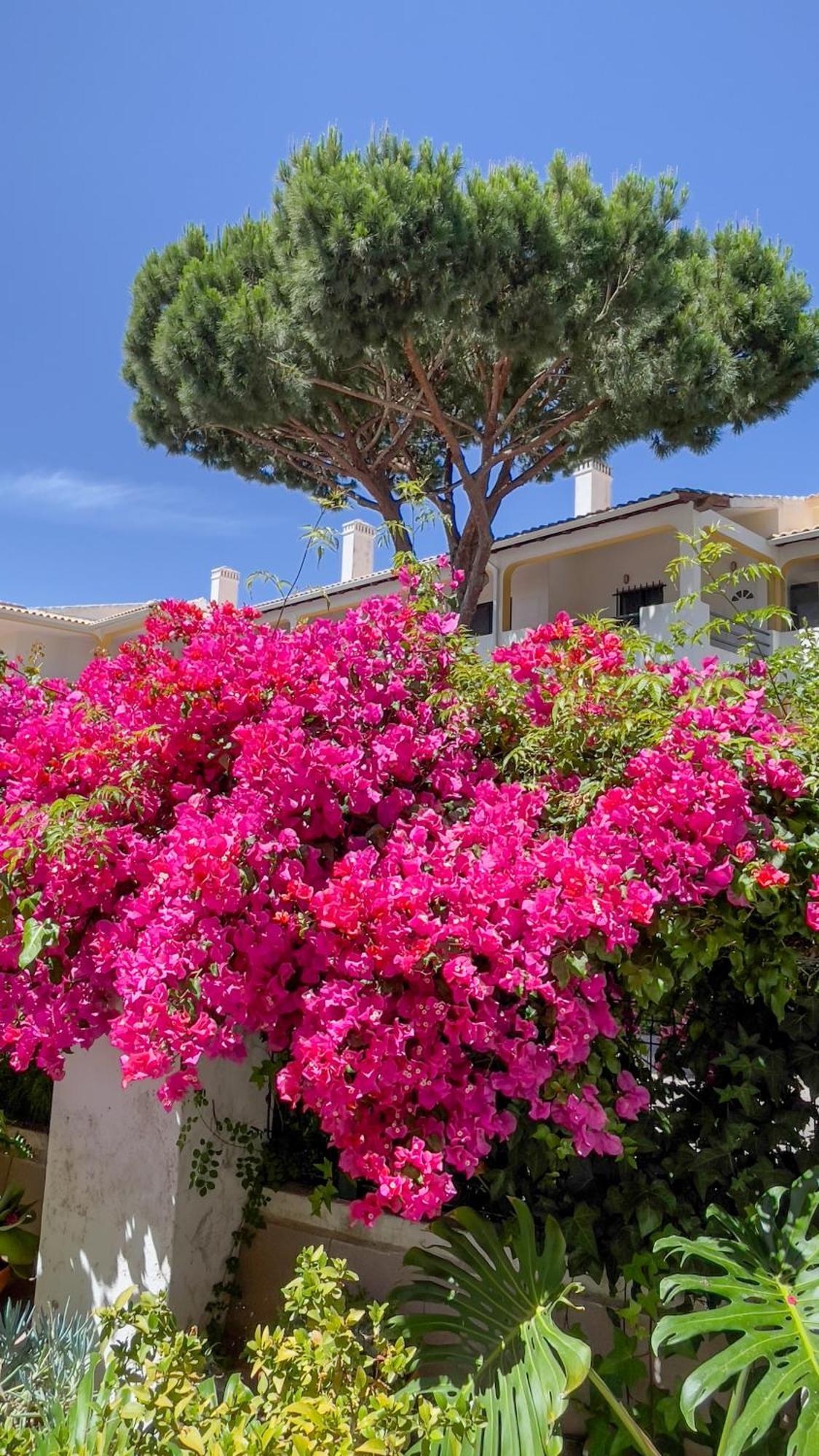 Verde Pino Hotel Vilamoura Exterior photo